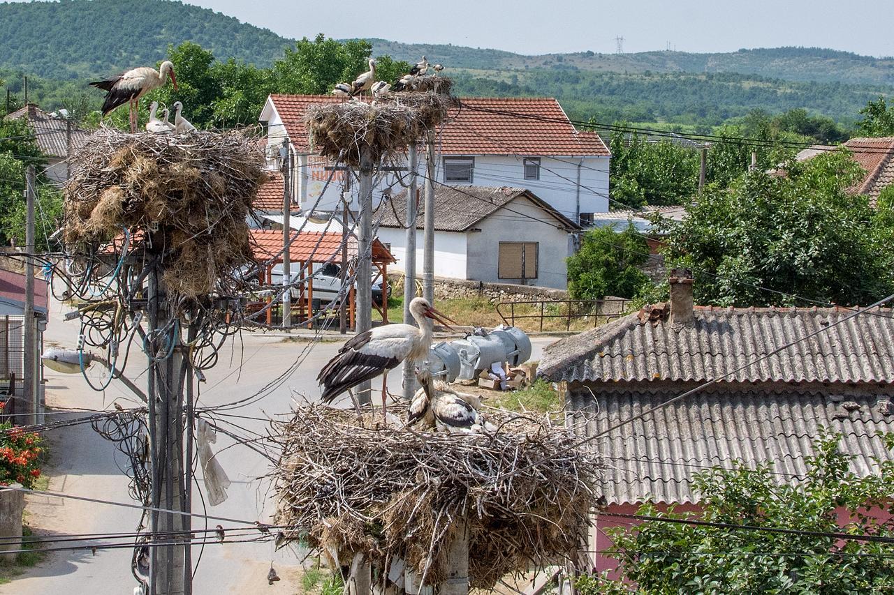 Bed & Breakfast Delikates Stojakovo Bagian luar foto